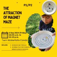 P1/P2 The Attraction of Magnet Maze