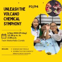 P3/P4 Unleash the Volcano Chemistry Symphony