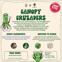 2 -day Bug Adventure Camp: Canopy Crusaders & Underground Superheroes